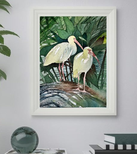 White Ibis Pair – Watercolor Bird Art Print