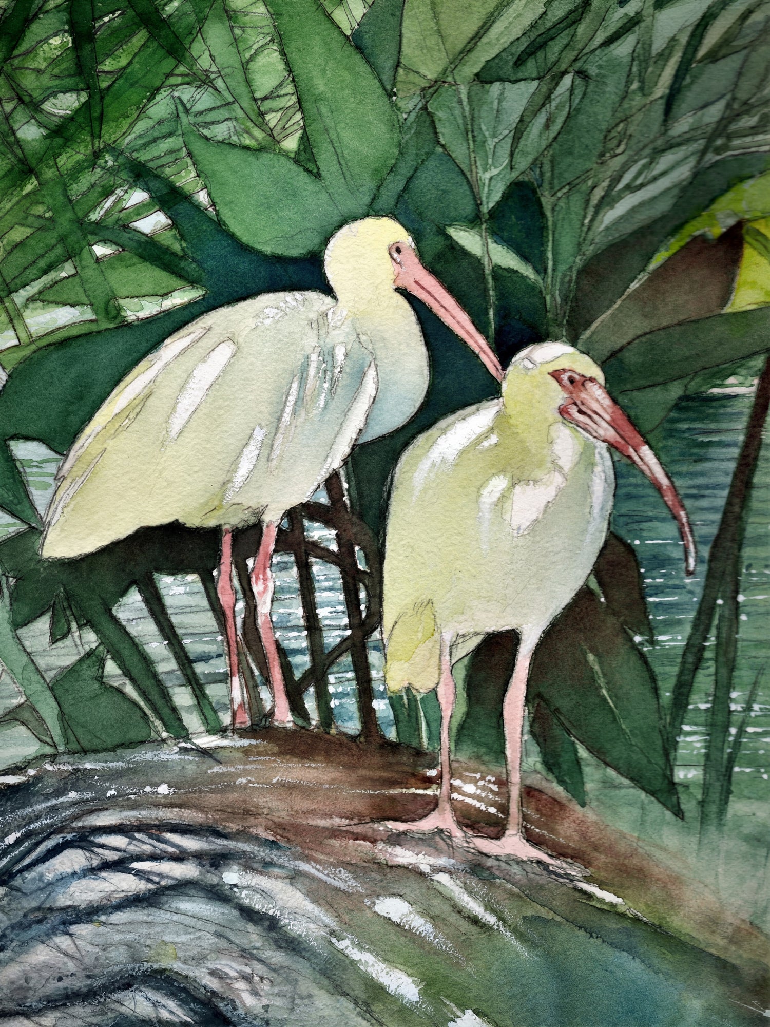 White Ibis Pair – Watercolor Bird Art Print
