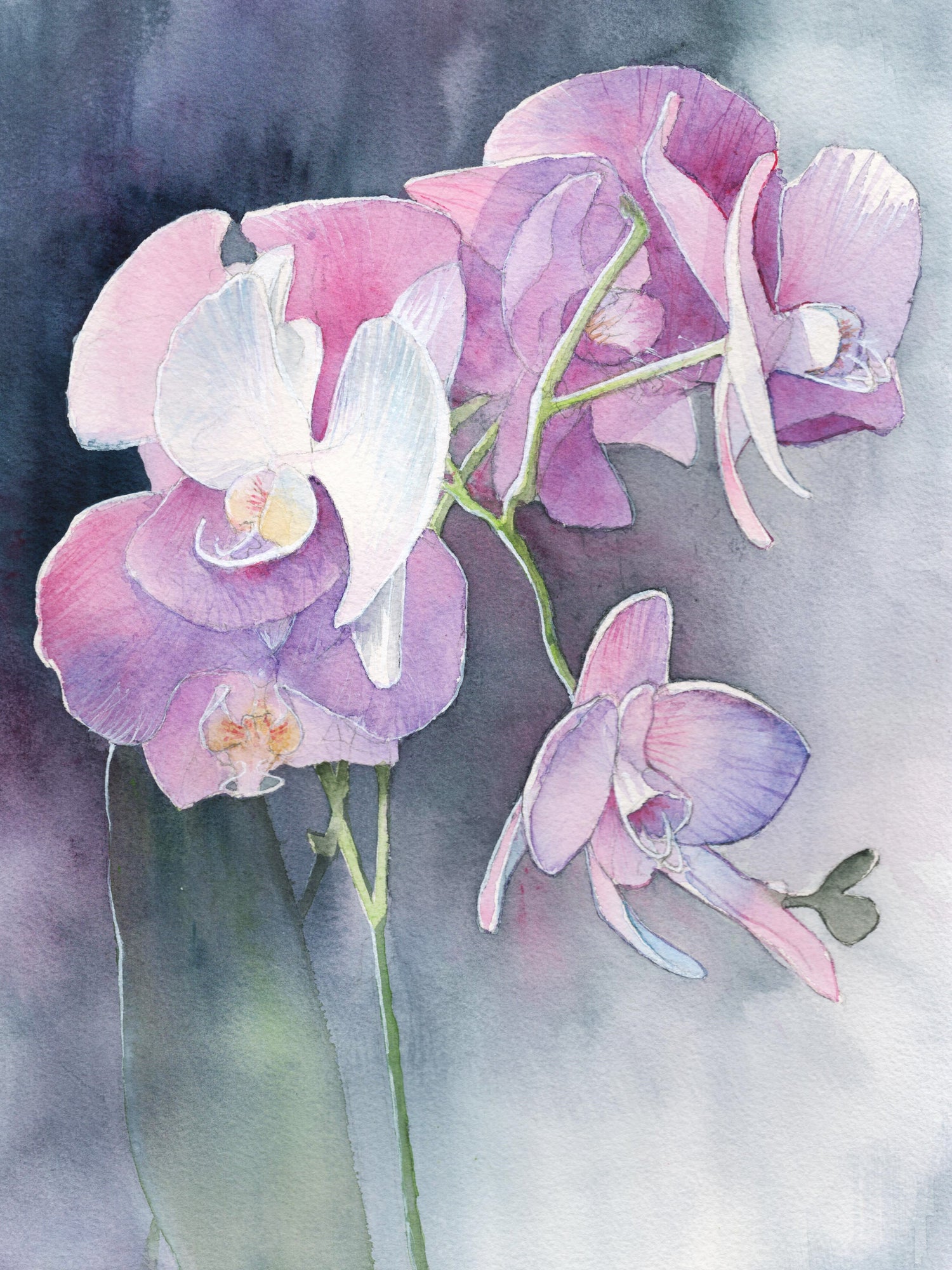 Purple Orchid Elegance – Watercolor Art Print