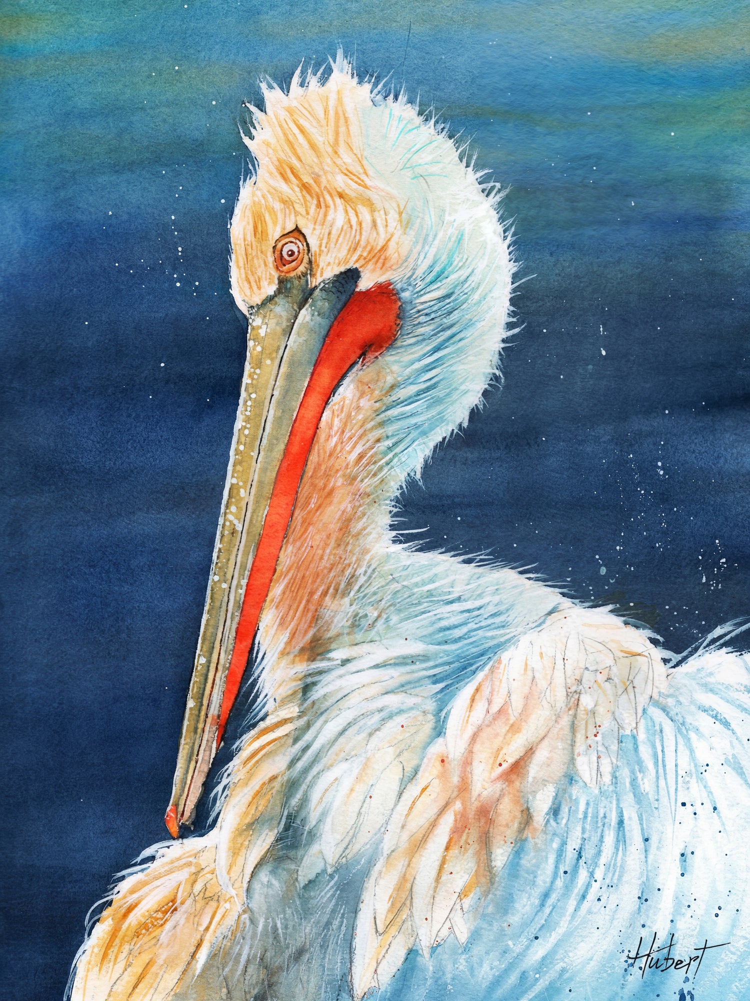 Florida Pelican – Coastal Watercolor Art Print