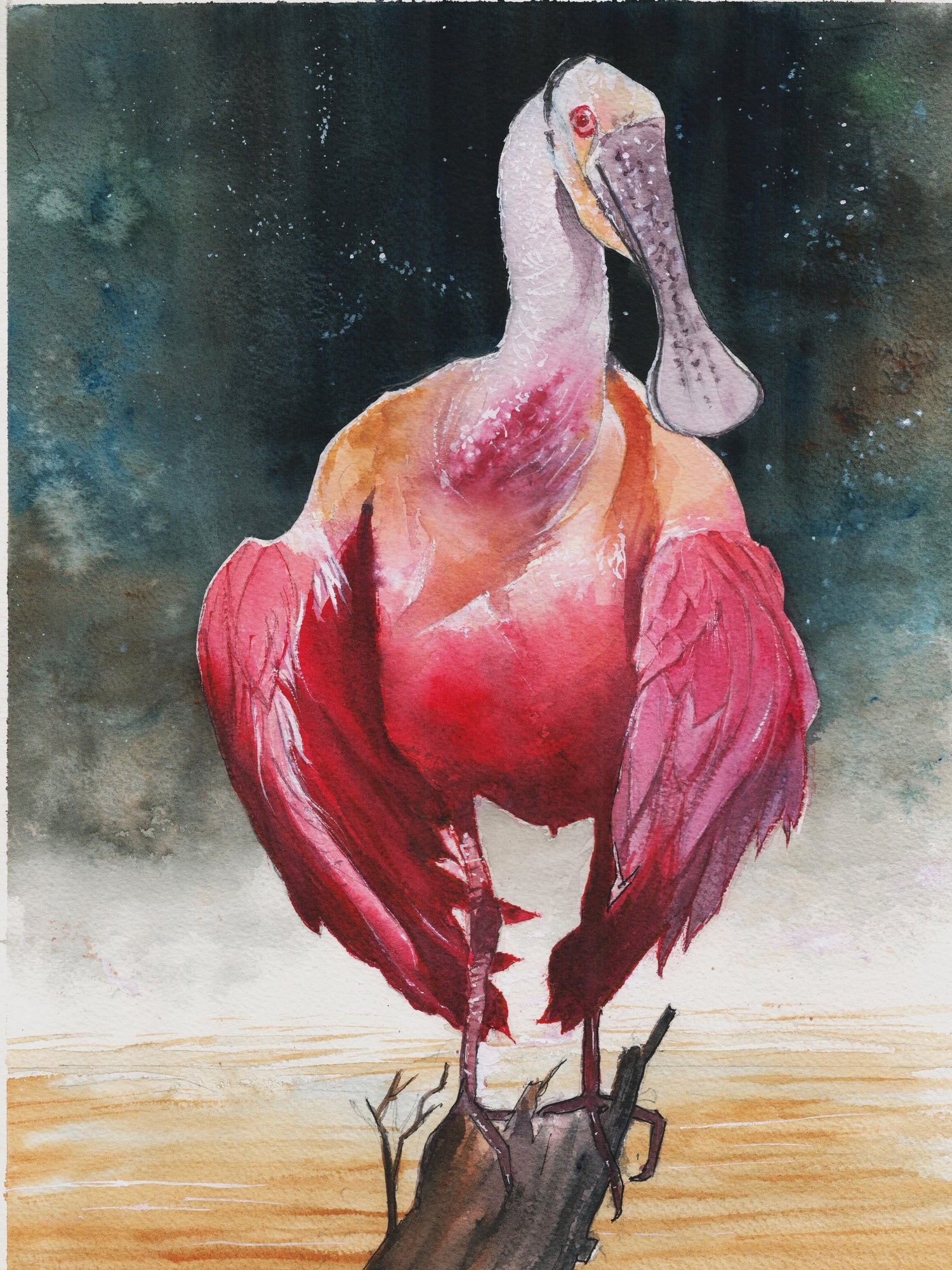 Roseate Spoonbill Portrait – Watercolor Art Print
