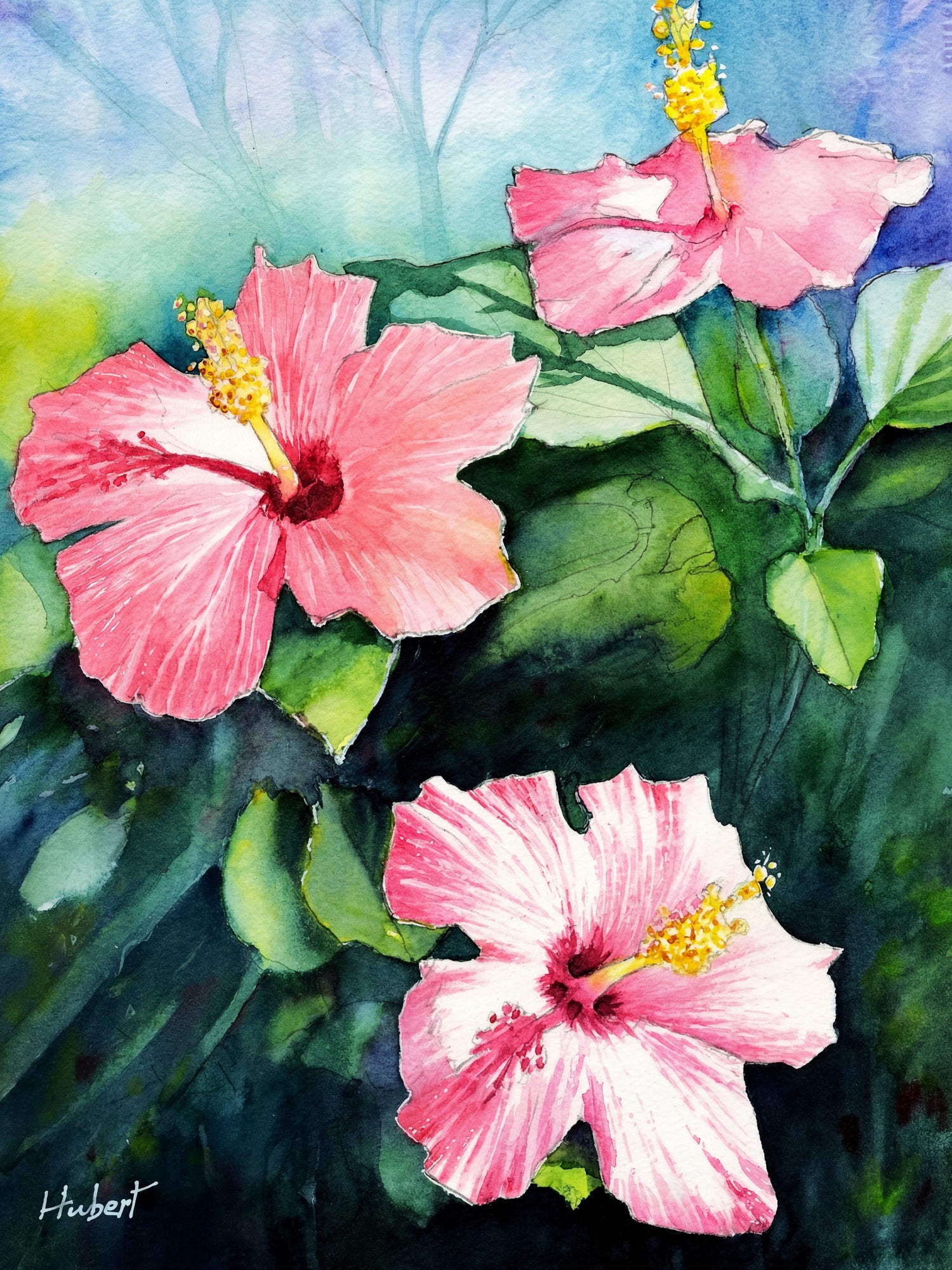 Watercolor painting of three pink hibiscus flowers with yellow stamens and lush green leaves, tropical botanical wall art by Art by Hubert